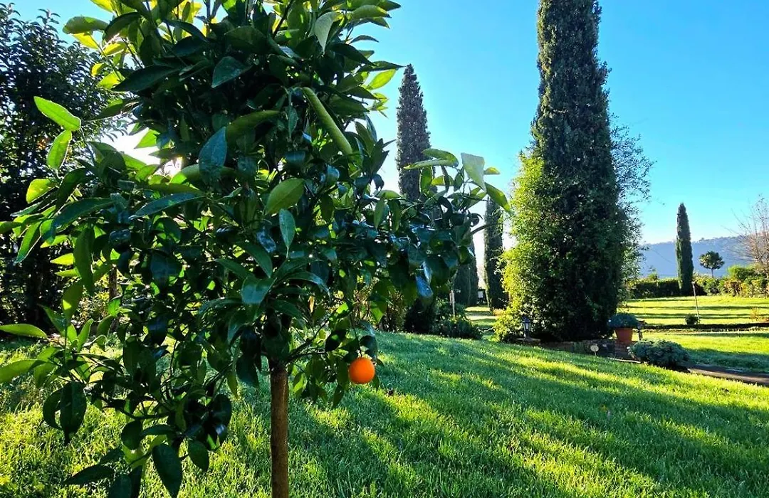 Agriturismo Le Grotte-1